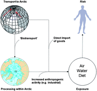 Graphical abstract: Global climate change and contaminants—an overview of opportunities and priorities for modelling the potential implications for long-term human exposure to organic compounds in the Arctic
