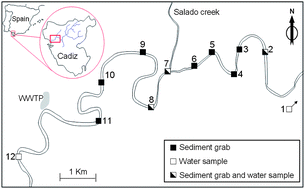 Graphical abstract: Tracking sewage derived contamination in riverine settings by analysis of synthetic surfactants