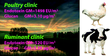 Graphical abstract: Endotoxin and β-(1 → 3)-glucan exposure in poultry and ruminant clinics