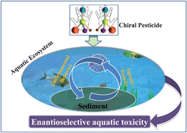 Graphical abstract: Enantioselective aquatic toxicity of current chiral pesticides