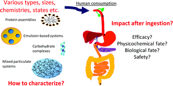 Graphical abstract: Development of oral food-grade delivery systems: Current knowledge and future challenges