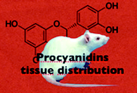 Graphical abstract: Distribution of procyanidins and their metabolites in rat plasma and tissues after an acute intake of hazelnut extract
