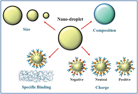Graphical abstract: Potential biological fate of ingested nanoemulsions: influence of particle characteristics
