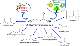 Graphical abstract: A green approach to chemical building blocks. The case of 3-hydroxypropanoic acid