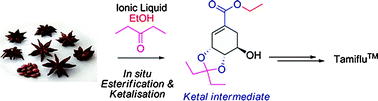 Graphical abstract: From plant to drug: ionic liquids for the reactive dissolution of biomass