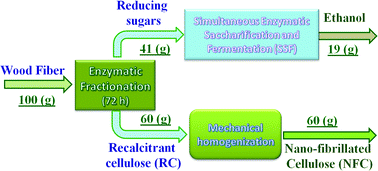 Graphical abstract: Integrated production of nano-fibrillated cellulose and cellulosic biofuel (ethanol) by enzymatic fractionation of wood fibers