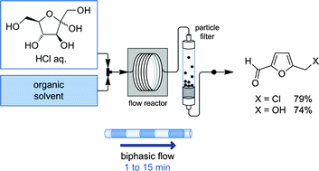 Graphical abstract: Highly efficient dehydration of carbohydrates to 5-(chloromethyl)furfural (CMF), 5-(hydroxymethyl)furfural (HMF) and levulinic acid by biphasic continuous flow processing
