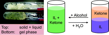 Graphical abstract: A facile method for the recovery of ionic liquid and lignin from biomass pretreatment