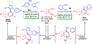 Graphical abstract: Highly efficient Ag(i)-catalyzed regioselective tandem synthesis of diversely substituted quinoxalines and benzimidazoles in water