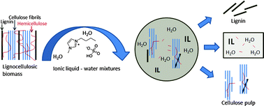 Graphical abstract: Ionic liquid pretreatment of lignocellulosic biomass with ionic liquid–water mixtures
