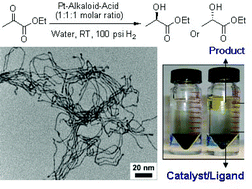 Graphical abstract: Enantioselective hydrogenation of α-ketoesters over alkaloid-modified platinum nanowires