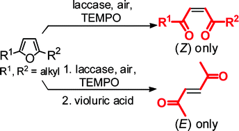 Graphical abstract: Laccase-catalyzed stereoselective oxidative ring opening of 2,5-dialkylfurans into 2-ene-1,4-diones using air as an oxidant