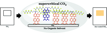 Graphical abstract: Supercritical carbon dioxide as a solvent for deposition of a tailored dye in dye sensitized solar cells