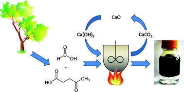 Graphical abstract: Liquid hydrocarbon fuels from cellulosic feedstocks via thermal deoxygenation of levulinic acid and formic acid salt mixtures