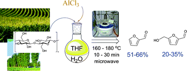 Graphical abstract: Conversion of carbohydrates and lignocellulosic biomass into 5-hydroxymethylfurfural using AlCl3·6H2O catalyst in a biphasic solvent system