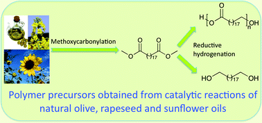 Graphical abstract: Polymer precursors from catalytic reactions of natural oils