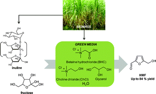 Graphical abstract: Conversion of fructose and inulin to 5-hydroxymethylfurfural in sustainable betaine hydrochloride-based media