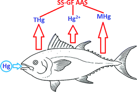 Graphical abstract: Total determination and direct chemical speciation of Hg in fish by solid sampling GF AAS