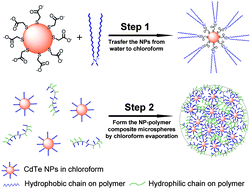 Graphical abstract: Versatile fabrication of water-dispersible nanoparticle–amphiphilic copolymer composite microspheres with specific functionalities