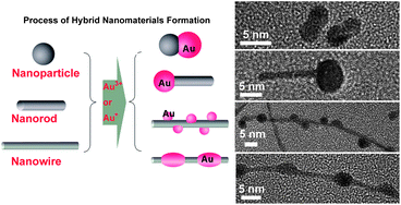 Graphical abstract: Facile synthesis of hybrid nanostructures from nanoparticles, nanorods and nanowires