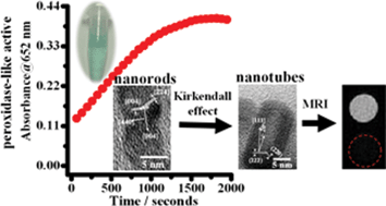 Graphical abstract: Synthesis of magnetic hollow nanotubes based on the kirkendall effect for MR contrast agent and colorimetric hydrogen peroxide sensor