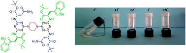 Graphical abstract: An asparagine/tryptophan organogel showing a selective response towards fluoride anions