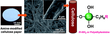 Graphical abstract: In situ modification of cellulose paper with amino groups for catalytic applications