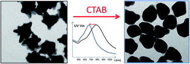 Graphical abstract: Reshaping and LSPR tuning of Au nanostars in the presence of CTAB