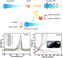 Graphical abstract: Synthesis of hierarchical flower-like ZnO nanostructures and their functionalization by Au nanoparticles for improved photocatalytic and high performance Li-ion battery anodes
