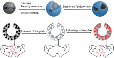 Graphical abstract: Preparation of hollow porous molecularly imprinted polymers and their applications to solid-phase extraction of triazines in soil samples