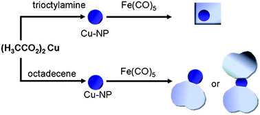 Graphical abstract: Phase separated Cu@Fe3O4 heterodimer nanoparticles from organometallic reactants