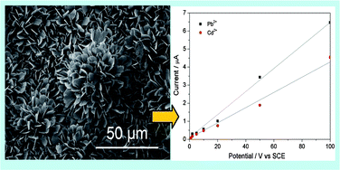 Graphical abstract: Flower-like hydroxyapatite modified carbon paste electrodes applicable for highly sensitive detection of heavy metal ions