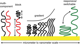Graphical abstract: Fabrication of nanostructures using polymer brushes
