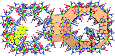 Graphical abstract: Symbiosis of zeolite-like metal–organic frameworks (rho-ZMOF) and hydrogels: Composites for controlled drug release