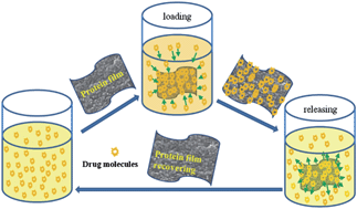 Graphical abstract: Mesoporous protein thin films for molecule delivery