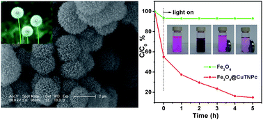 Graphical abstract: Dandelion-like Fe3O4@CuTNPc hierarchical nanostructures as a magnetically separable visible-light photocatalyst