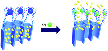 Graphical abstract: Controlled release using mesoporous silica nanoparticles functionalized with 18-crown-6 derivative