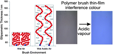 Graphical abstract: Synthesis of pH-responsive tertiary amine methacrylate polymer brushes and their response to acidic vapour