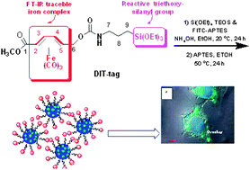 Graphical abstract: Hybrid silicananoparticles traceable by fluorescence and FT-IR spectroscopy: preparation, characterization and preliminary biological studies