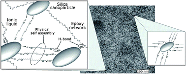 Graphical abstract: The multifunctional role of ionic liquids in the formation of epoxy-silica nanocomposites
