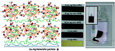 Graphical abstract: Polyelectrolyte complex particle-based multifunctional freestanding films containing highly loaded bimetallic particles