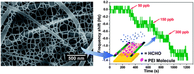 Graphical abstract: Polyamide 6 composite nano-fiber/net functionalized by polyethyleneimine on quartz crystal microbalance for highly sensitive formaldehyde sensors