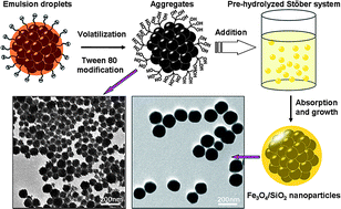 Graphical abstract: Preparation of nearly monodispersed Fe3O4/SiO2 composite particles from aggregates of Fe3O4 nanoparticles