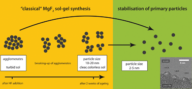 Graphical abstract: Sols of nanosized magnesium fluoride: formation and stabilisation of nanoparticles