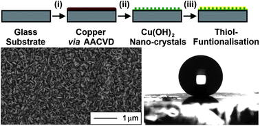 Graphical abstract: CVD of copper and copper oxide thin films via the in situ reduction of copper(ii) nitrate—a route to conformal superhydrophobic coatings
