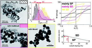 Graphical abstract: Magnetic bacterial protein Mms6 controls morphology, crystallinity and magnetism of cobalt-doped magnetite nanoparticlesin vitro