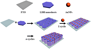 Graphical abstract: Self-assembly of layered double hydroxide nanosheets/Au nanoparticles ultrathin films for enzyme-free electrocatalysis of glucose