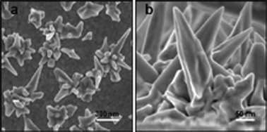 Graphical abstract: Direct growth of highly branched crystalline Au nanostructures on an electrode surface: their surface enhanced Raman scattering and electrocatalytic applications