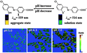 Graphical abstract: A ratiometric fluorescent pH probe based on aggregation-induced emission enhancement and its application in live-cell imaging