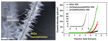 Graphical abstract: Fabrication of a novel hierarchical assembly of ZnO nanowires on WOx nanowhiskers for highly efficient field electron emission